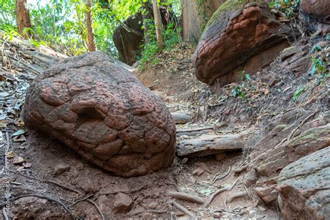 naka cave thailand snake|Exploring Naka Cave: An Adventure in Thailand